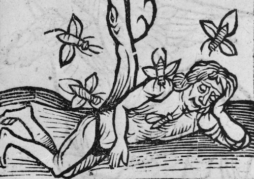 Premiers coups de&nbsp;Fléau