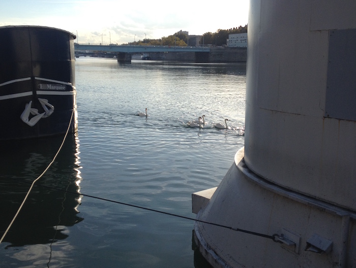 Cheesecake et sauces éponymes : à Lyon avec Hawaii Samurai&nbsp;!