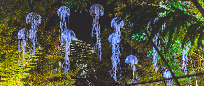 CLIMAX©0-SEGUIN - MEDUSES