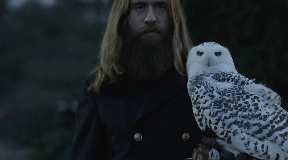 Laissez bronzer les&nbsp;Kadavar