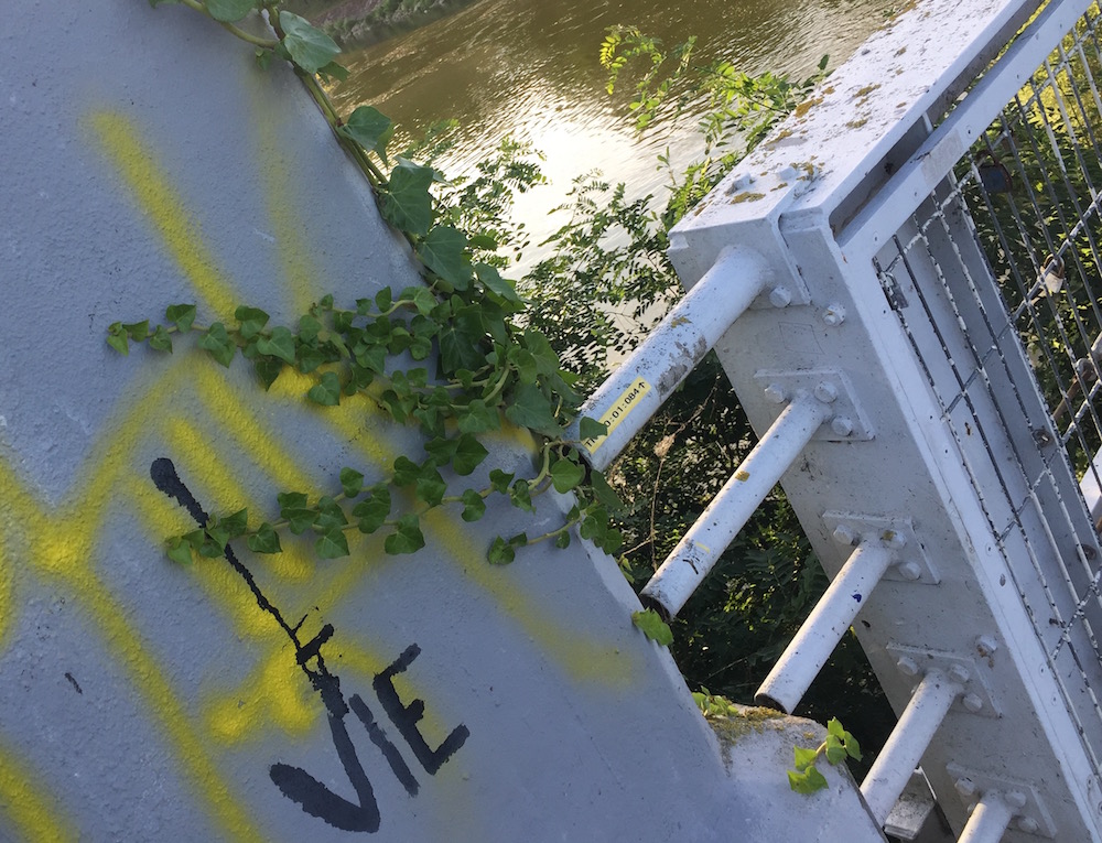 Pureté de la vie sur la Loire